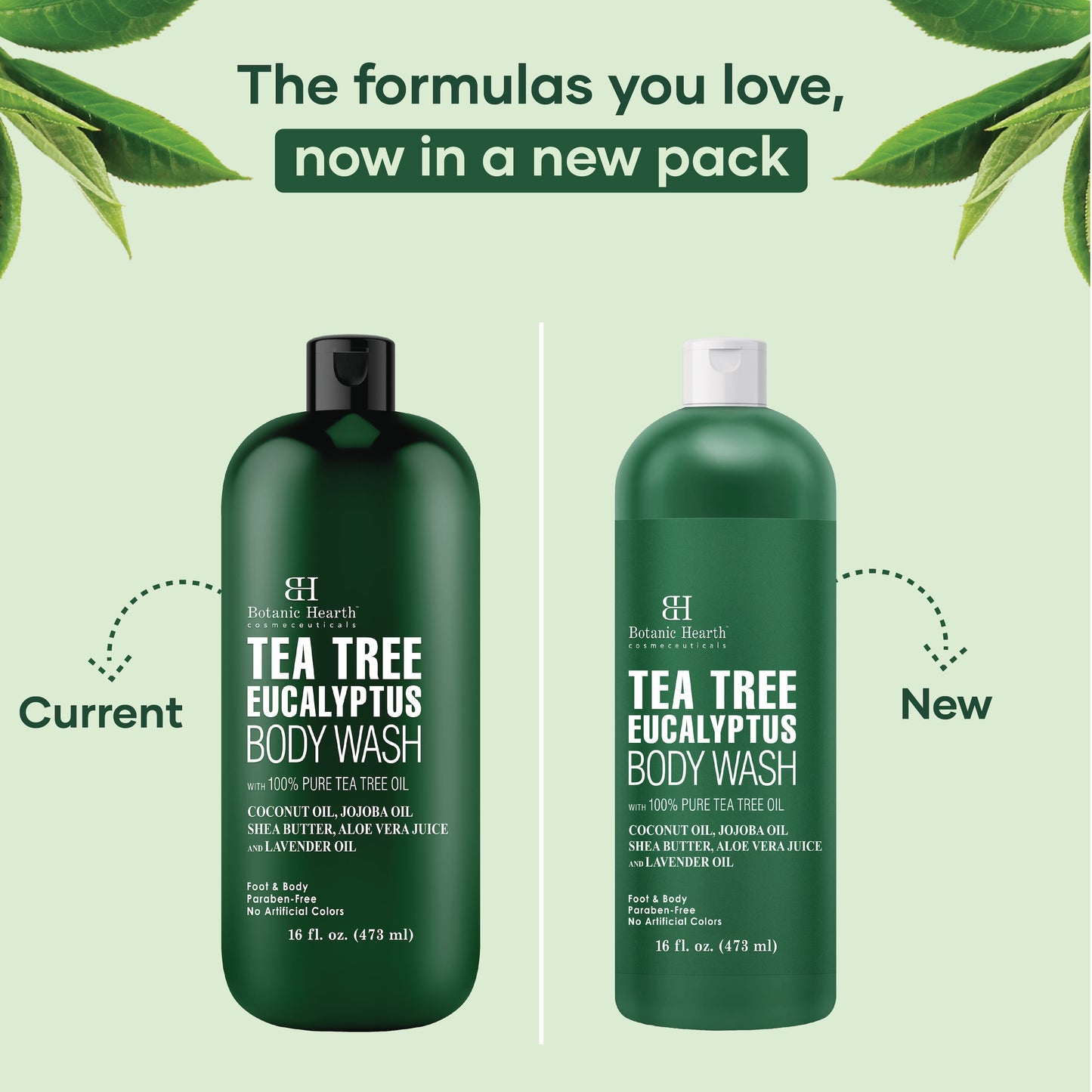 Eucalyptus Tea Tree Body Wash, 16 Fl Oz – Invigorating & Refreshing, Deep Cleansing, Sulfate-Free